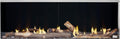 Napoleon Galaxy 62 Outdoor Gas Fireplace