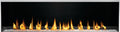 Napoleon Galaxy 74 Outdoor Gas Fireplace
