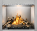 Napoleon Riverside 42 Outdoor Gas Fireplace
