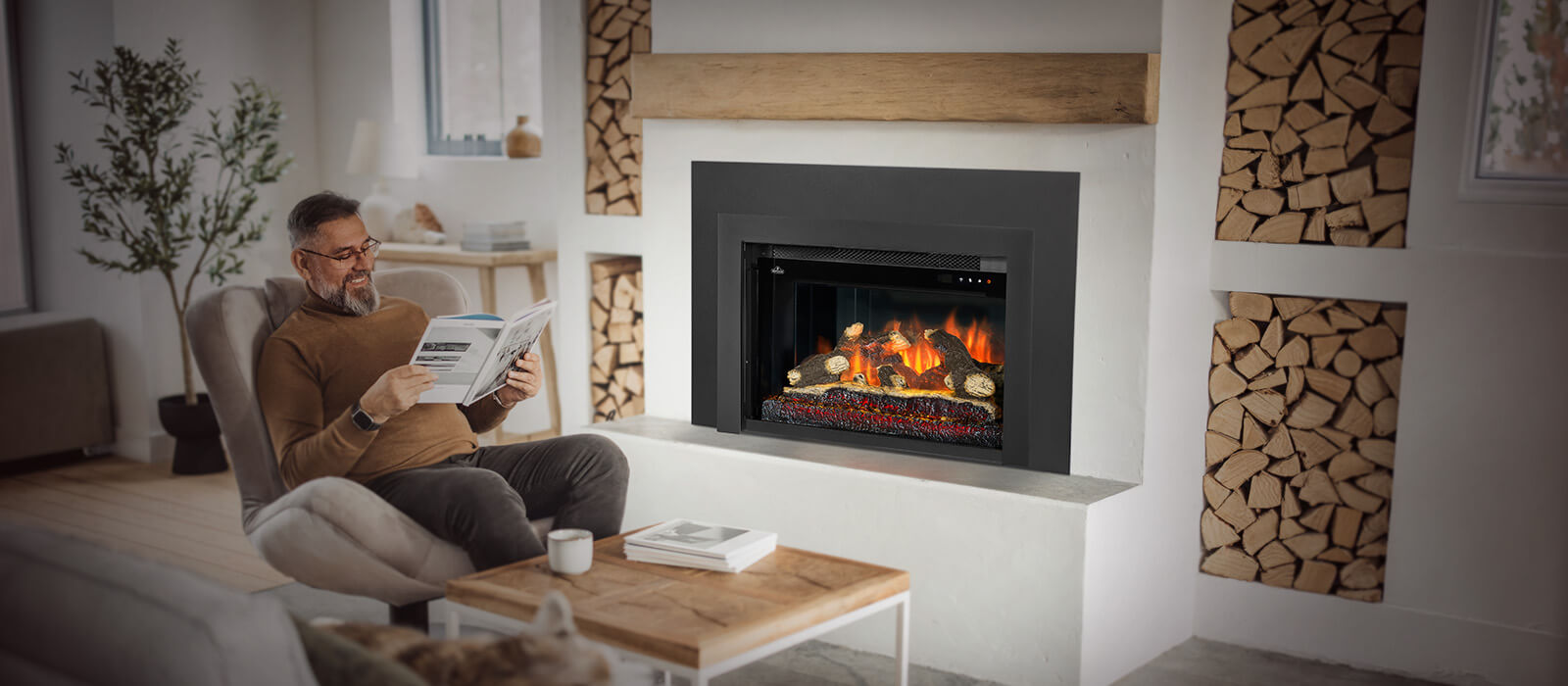 Napoleon Rosedale Electric Fireplace